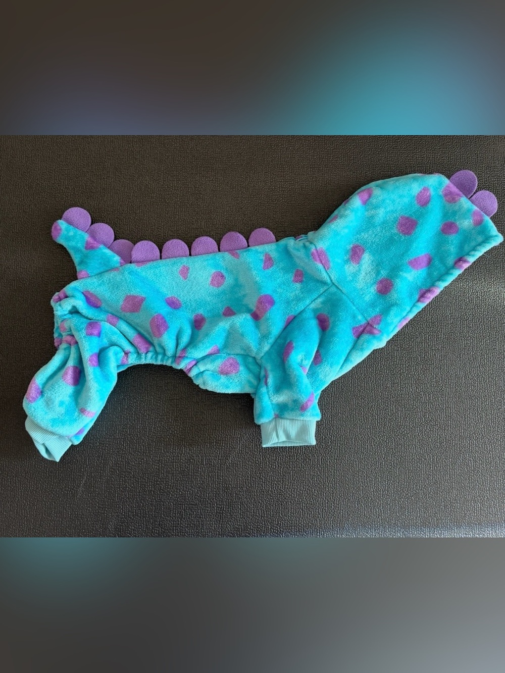 Disney Inspired Monsters inc Sully Sulley Dog Costume Dinosaur Hooded XL